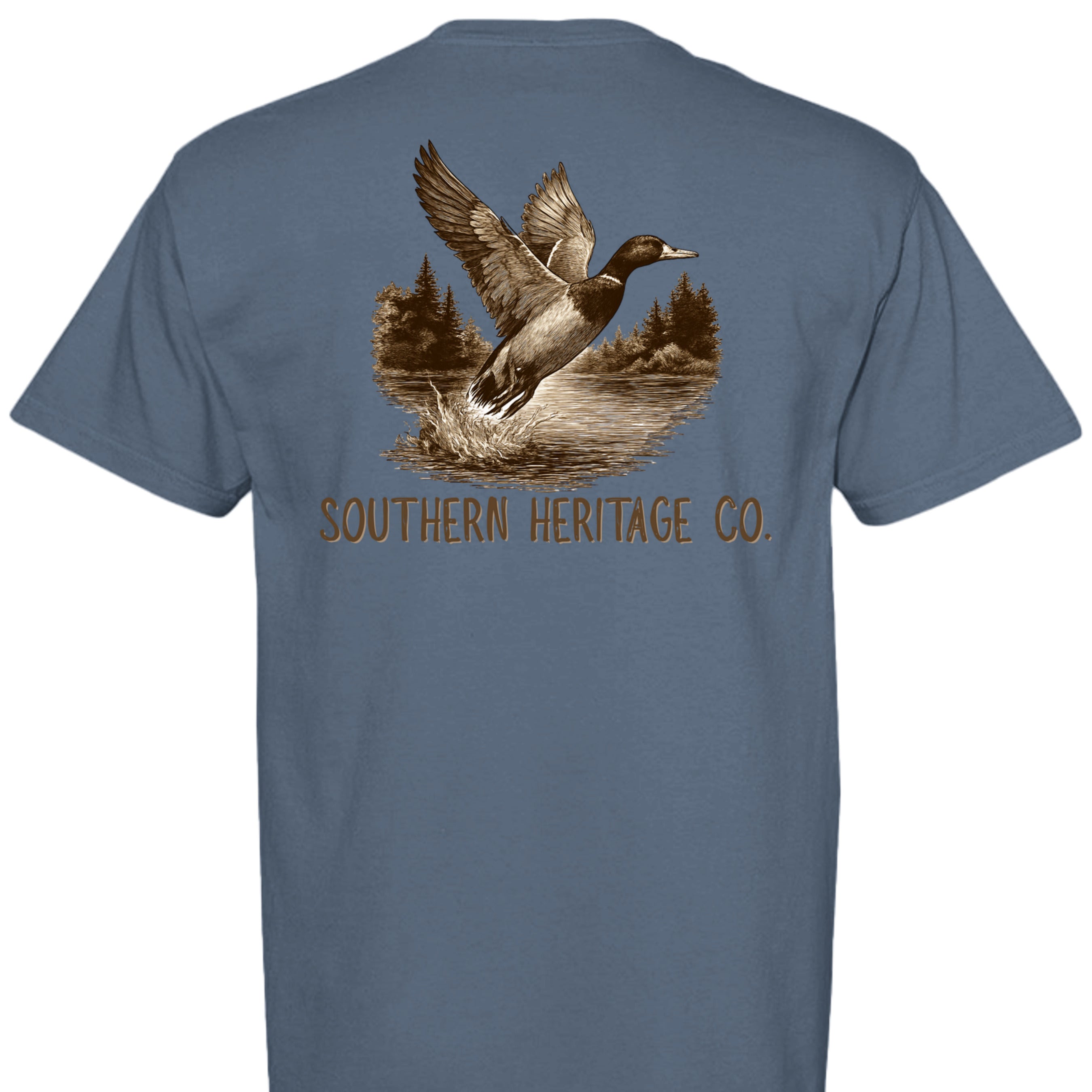 BLUE JEAN - C1717 - BACK