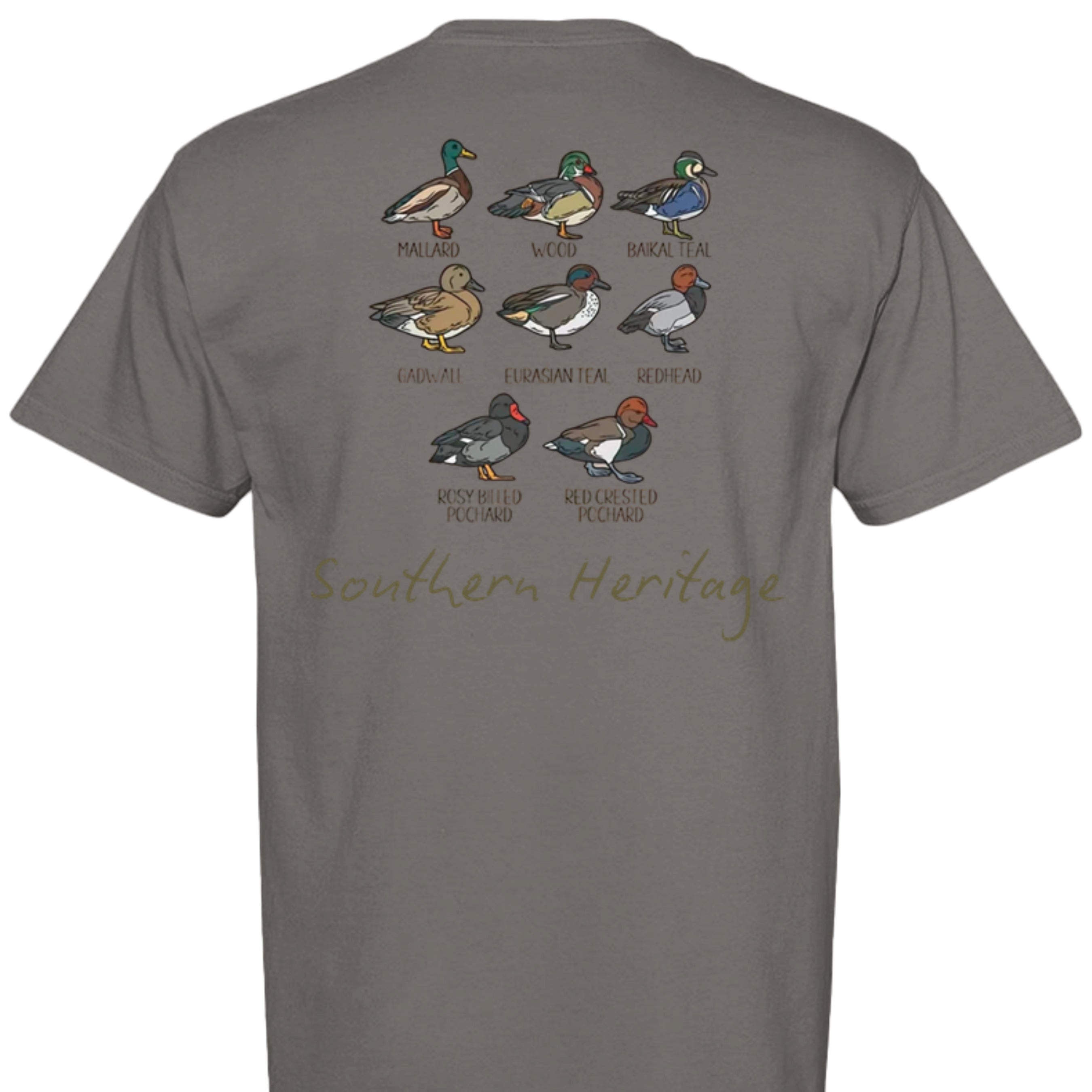 GREY - C1717 - BACK