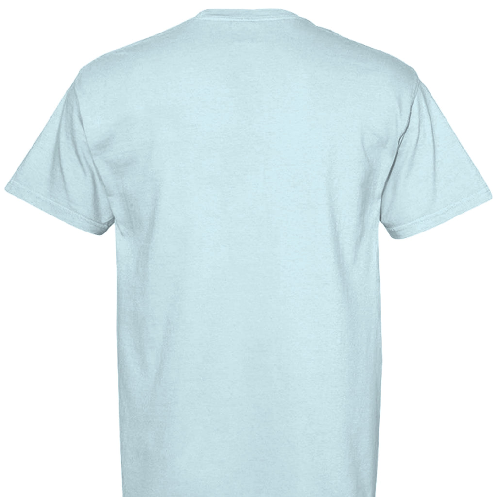 CHAMBRAY - C1717 - BACK