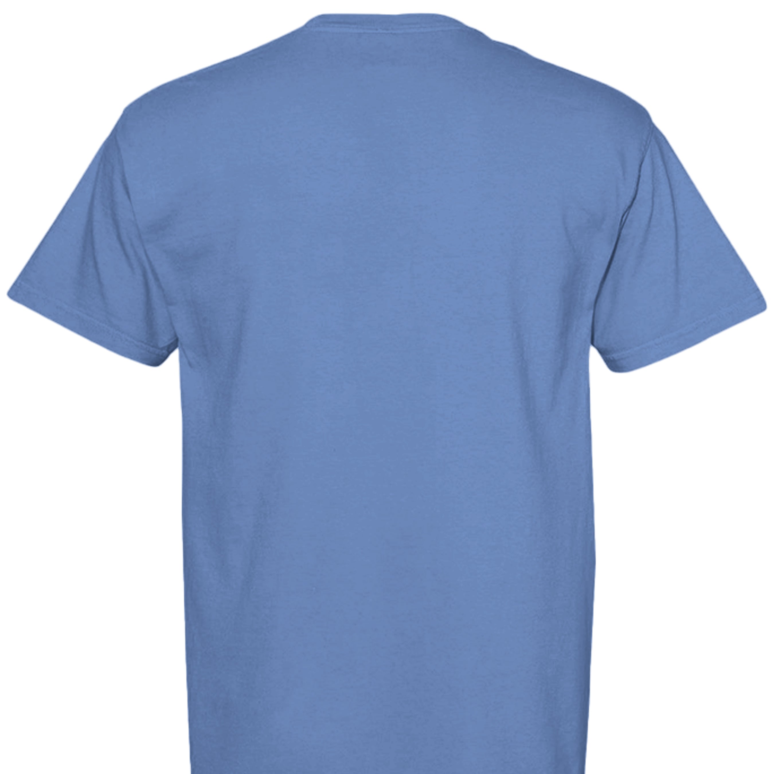 MYSTIC BLUE - C1717 - BACK