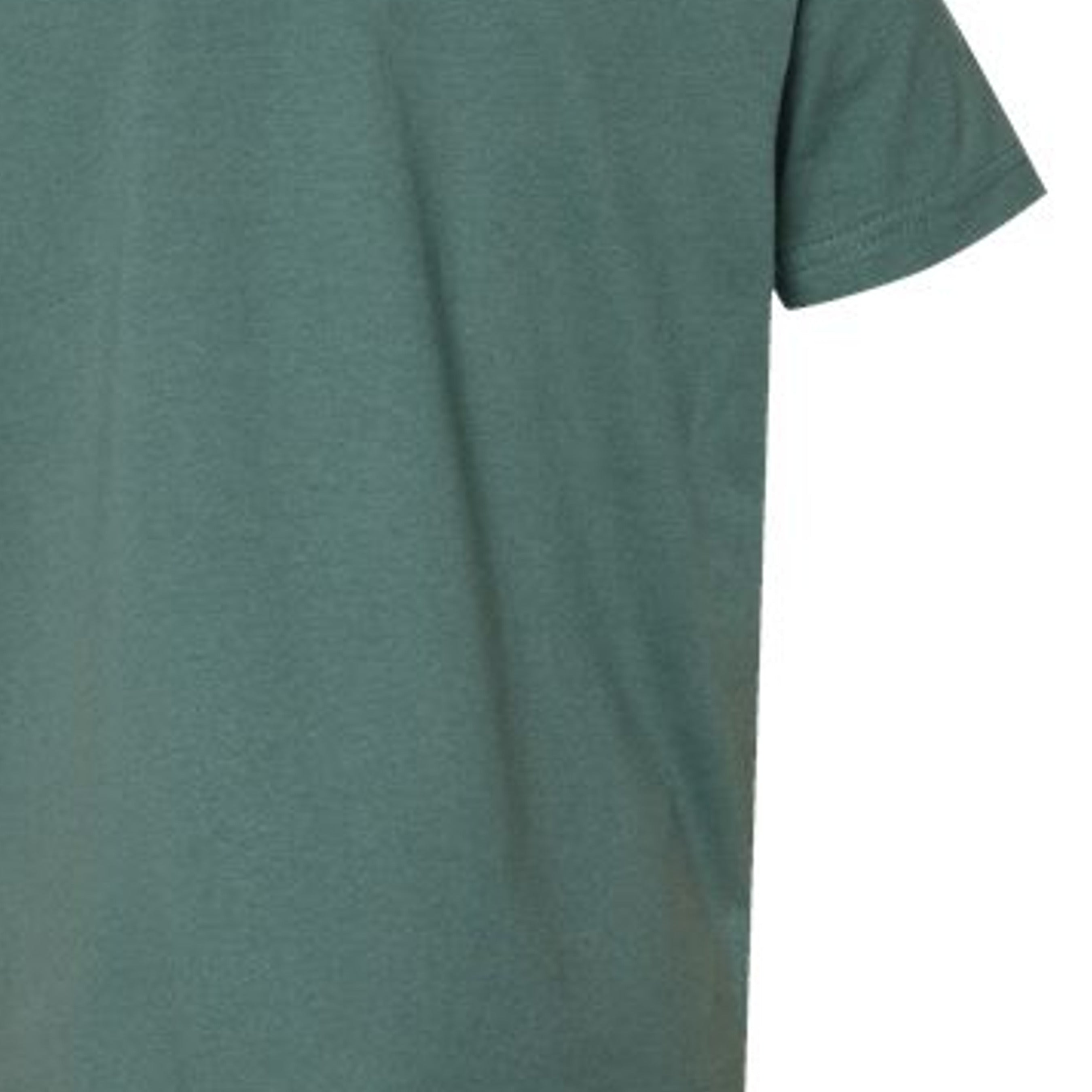 Basil - 3321 - BACK